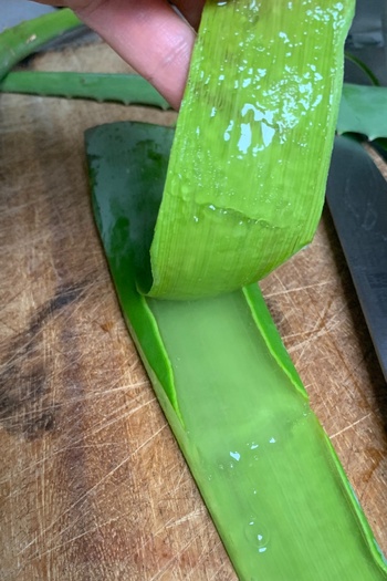 Aloe vera gel in progress for the shampoobars
